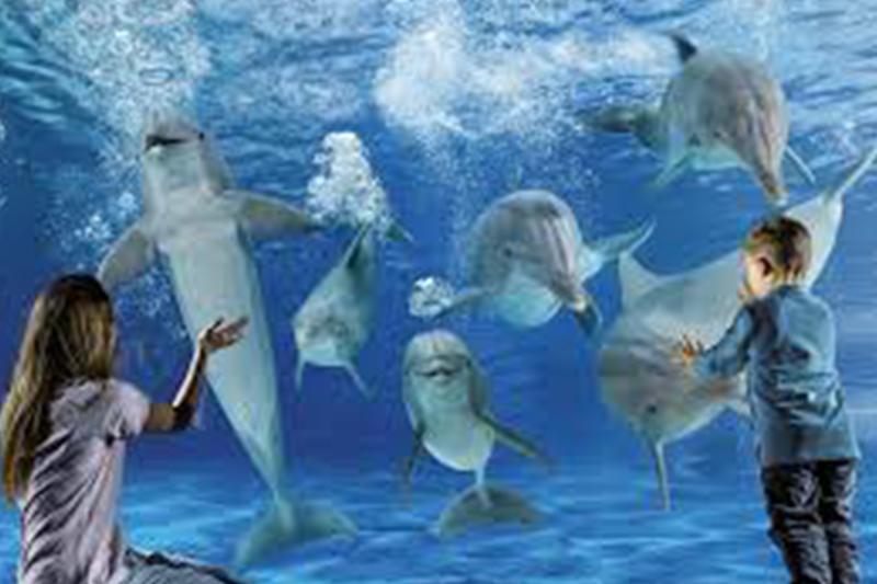 parchi dei divertimento in romagna